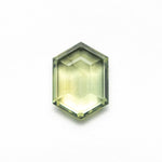 Load image into Gallery viewer, 2.03ct 9.18x6.56x2.93mm Hexagon Portrait Cut Sapphire 23678-09
