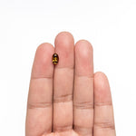 Load image into Gallery viewer, 1.27ct 7.88x4.87x3.82mm Oval Brilliant Sapphire 26333-01
