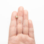 Load image into Gallery viewer, 3.09ct 6.98x7.28x7.07mm Faceted Bead 26554-01
